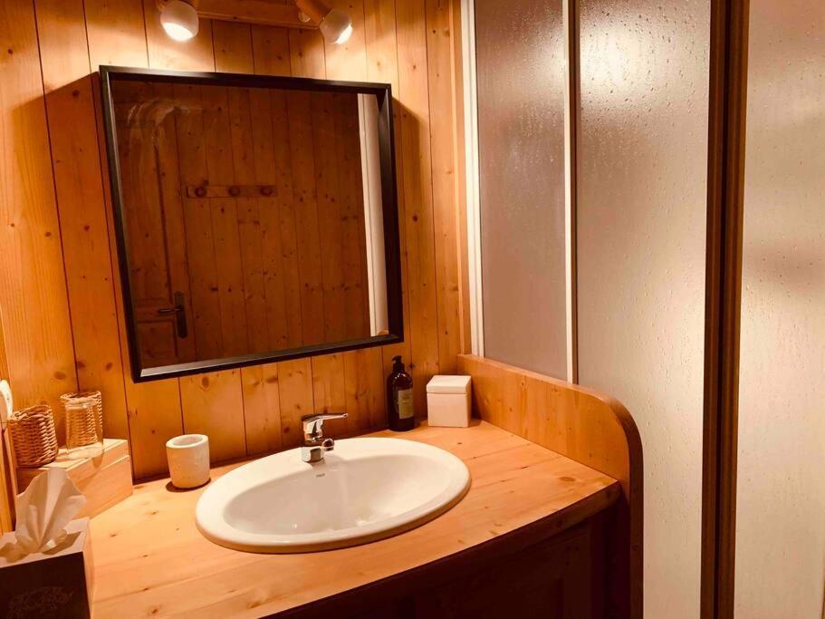 Superbe Chalet レ・コンタミンヌ・モンジョワ エクステリア 写真