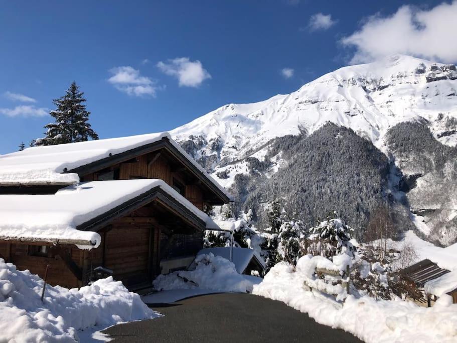 Superbe Chalet レ・コンタミンヌ・モンジョワ エクステリア 写真