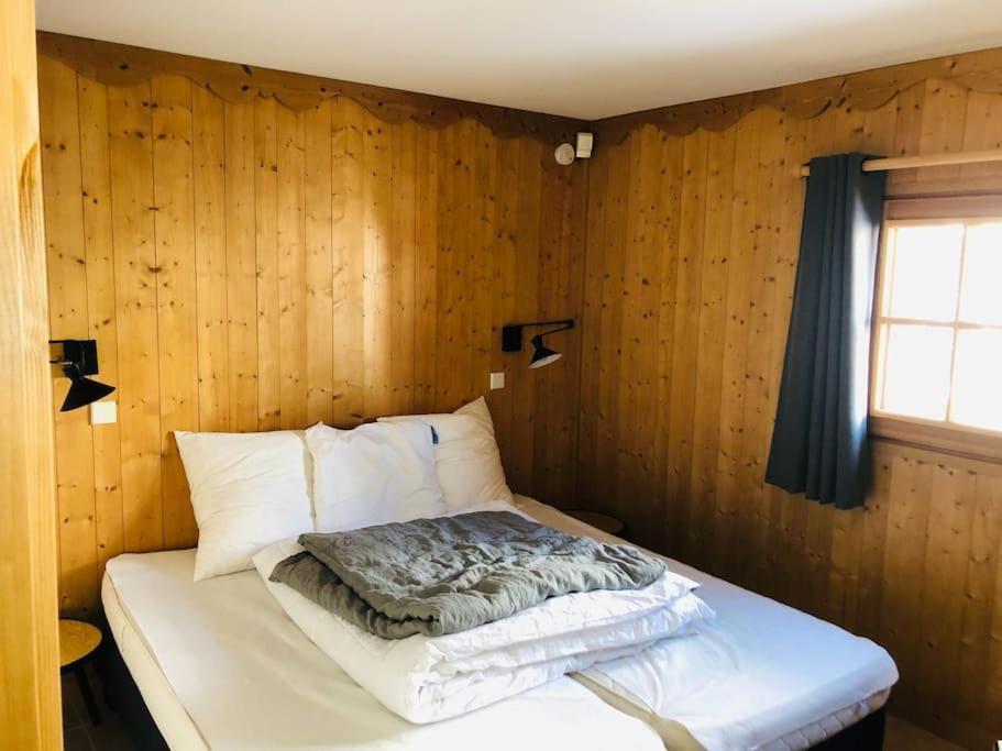 Superbe Chalet レ・コンタミンヌ・モンジョワ エクステリア 写真