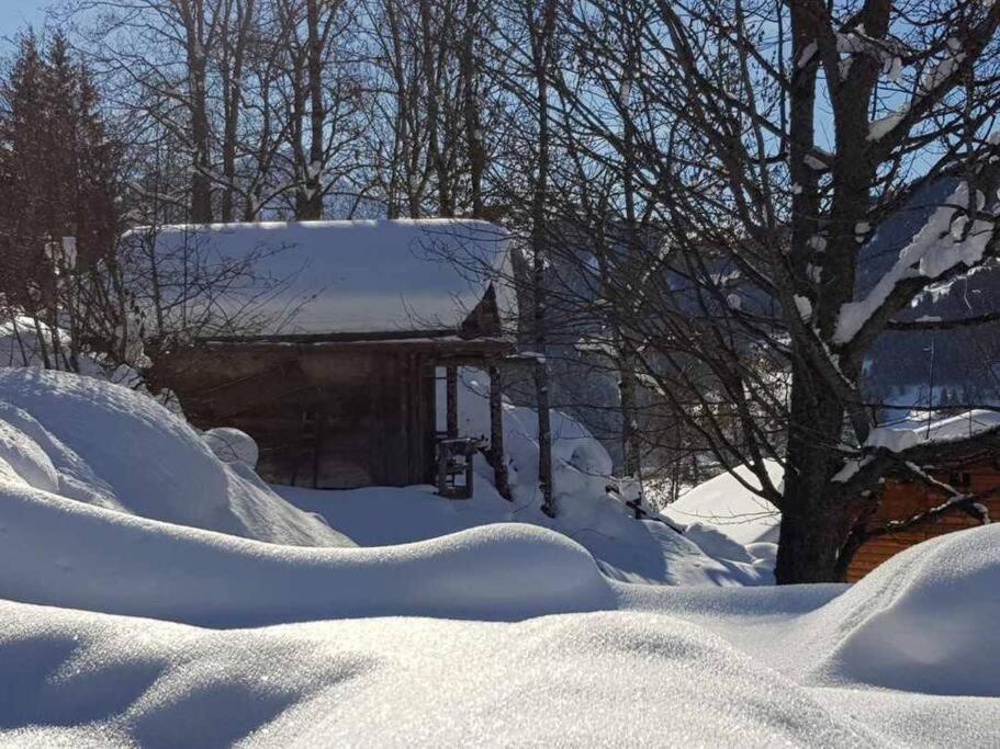 Superbe Chalet レ・コンタミンヌ・モンジョワ エクステリア 写真